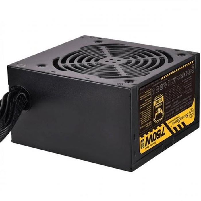 پاور سیلوراستون 750 وات Power SilverStone Essential SST ET750 G - 3