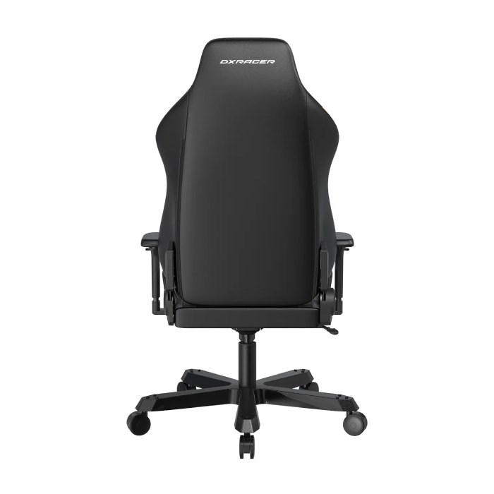 صندلی گیمینگ دی ایکس ریسر Tank Series 2025 Black Gray - 6