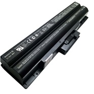 Sony BPS21-6Cell Laptop Battery