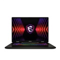 ام اس آی  Sword 17 HX B14VGKG Core i7 14700HX 16GB 1TB SSD 8GB RTX 4070 17.0 Inch Full HD+ Laptop 