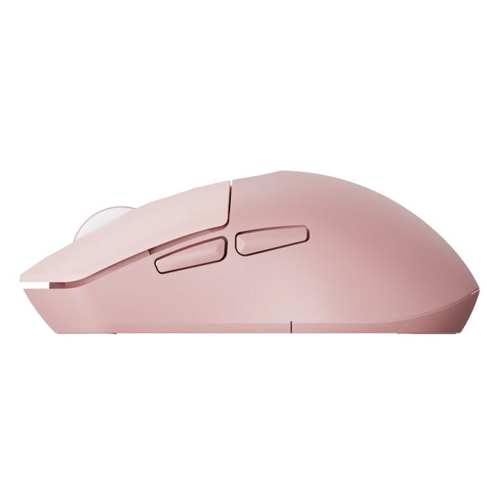 ماوس بی سیم رپو مدل M308 - 3