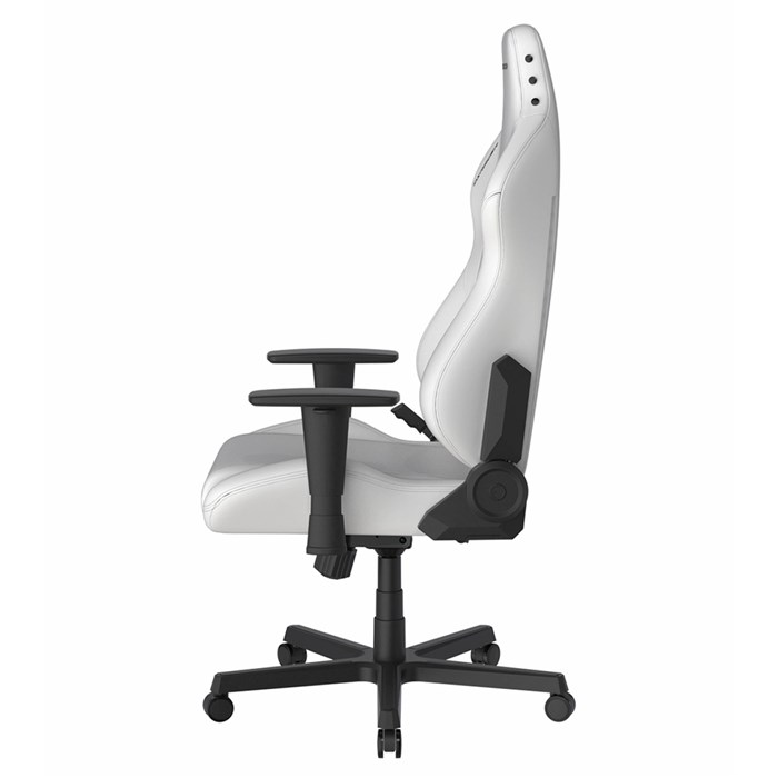 صندلی گیمینگ دی ایکس ریسر مدل Drifting Series 2025 L White - 6