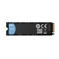 Dahua C910 1TB Gen 3.0 x 4 M.2 Internal SSD Drive