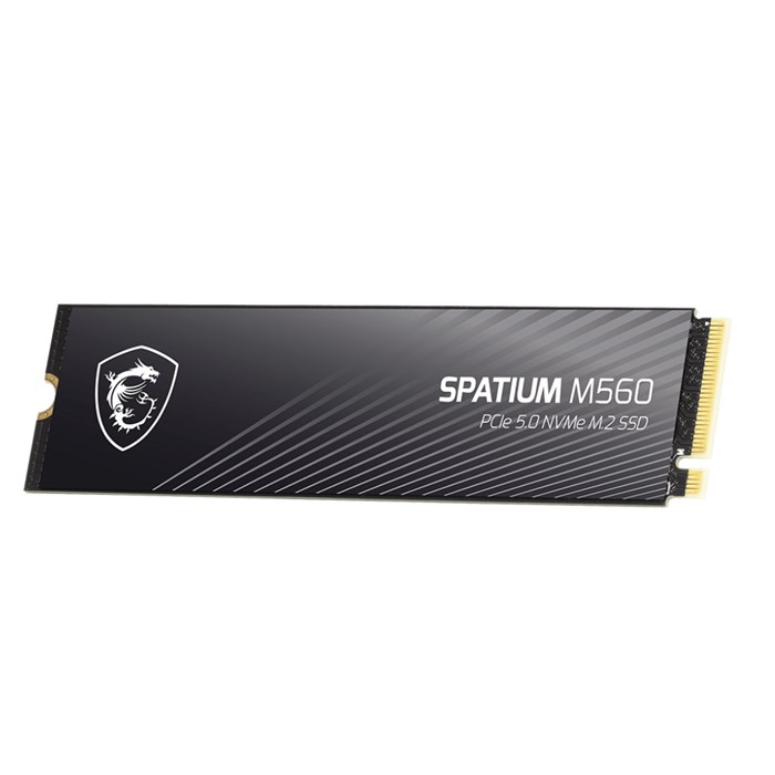 اس اس دی اینترنال ام اس آی Spatium M560 ظرفیت 1 ترابایت - 4