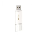 سیلیکون پاور  Blaze B06 Flash Memory - USB 3.2 - 32 GB