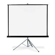 Scope 2x2 Standing Projector Screen