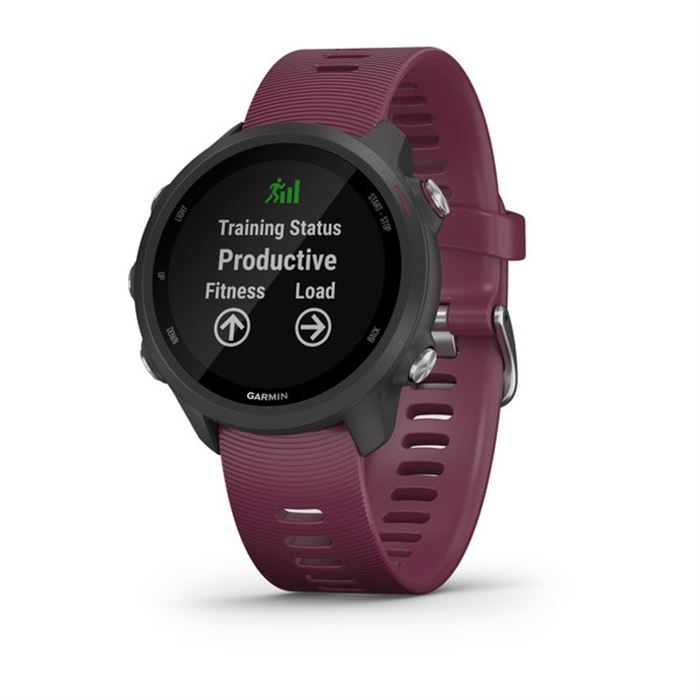 ساعت هوشمند مدل Forerunner 245 - 9
