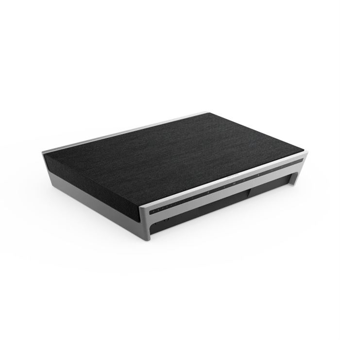 اسپیکر بلوتوثی بنگ اند آلفسن Bang & Olufsen Beosound LEVEL - 6
