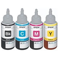 Epson T66 Package Ink For L110