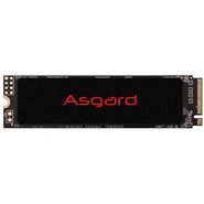 asgard AN2 M.2 2280 PCIe Gen 3.0x4 NVMe 250GB Internal SSD