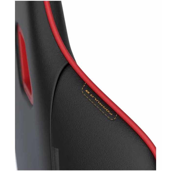 صندلی گیمینگ دی ایکس ریسر Formula Series 2025 L Black Red - 9