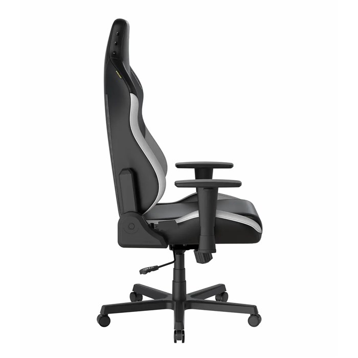 صندلی گیمینگ دی ایکس ریسر مدل Drifting Series 2025 L Black White - 7
