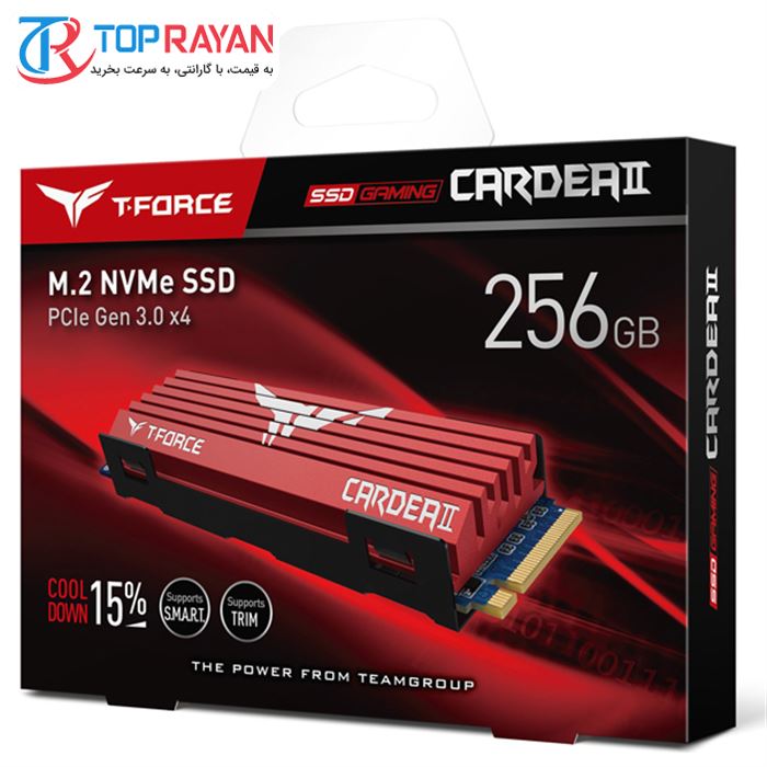 اس اس دی اینترنال تیم گروپ مدل CARDEA II M2 ظرفیت 256 گیگابایت - 4