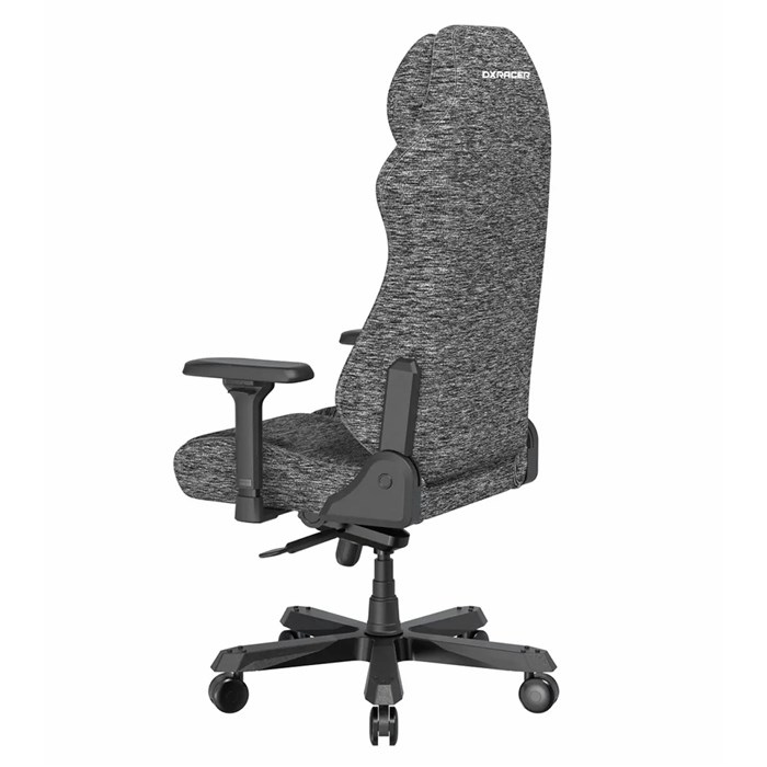 صندلی گیمینگ دی ایکس ریسر مدل Master Series 2025 XL Fabric Gray - 3