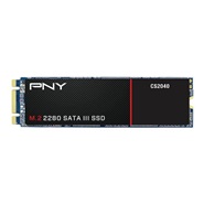 PNY CS2040 256GB M.2 2280 SATA III SSD