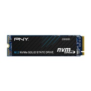 اس اس دی اینترنال پی ان وای CS1031 ظرفیت 500 گیگابایت