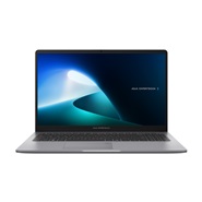 ASUS ExpertBook P1 P1503CVA Core i5 13500H 8GB 512GB SSD Intel Graphics Full HD 15.6 Inch Laptop