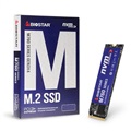 Biostar M760 256GB M.2 2280 Internal SSD Drive