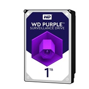 Western Digital WD10EJRX Purple 1TB 64MB Cache Internal Hard Drive