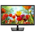 LG LED Monitor 19EN33S
