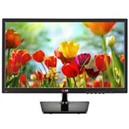 LG LED Monitor 19EN33S