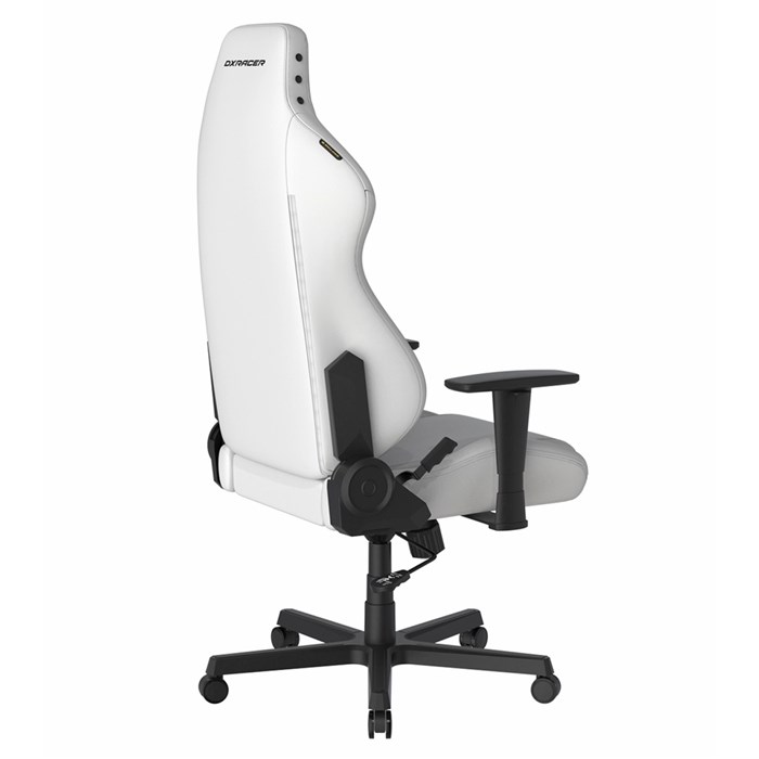 صندلی گیمینگ دی ایکس ریسر مدل Drifting Series 2025 L White - 5