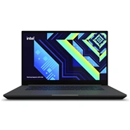 Intel NUC X15 Arc-i7 12700H 32GB 1SSD Arc A730M 15.6 Inch Laptop - Customized