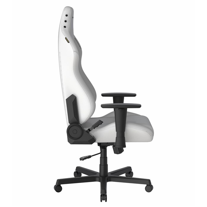 صندلی گیمینگ دی ایکس ریسر مدل Drifting Series 2025 L White - 7