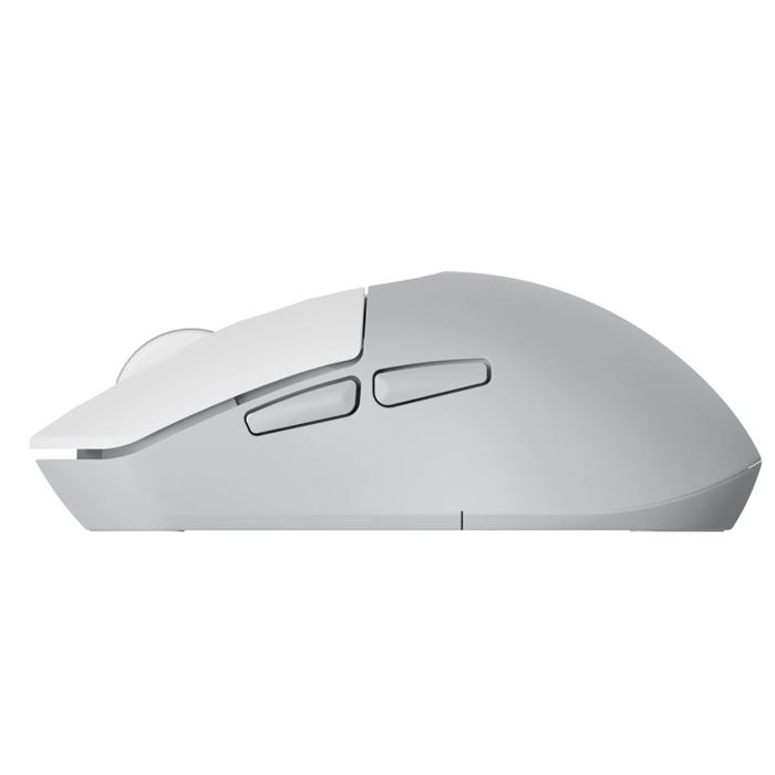 ماوس بی سیم رپو مدل M308 - 12