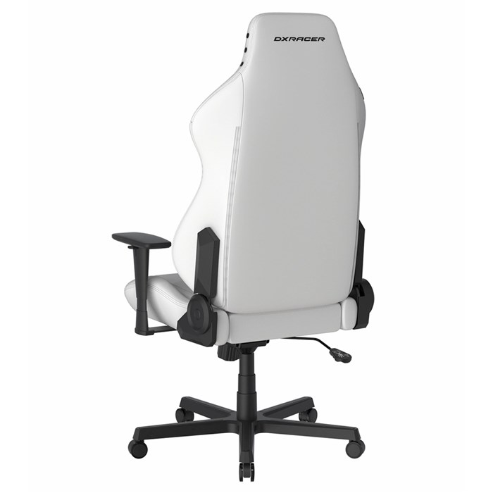 صندلی گیمینگ دی ایکس ریسر مدل Drifting Series 2025 L White - 4