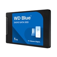 Western Digital 1TB BLUE SA510 SSD Drive 