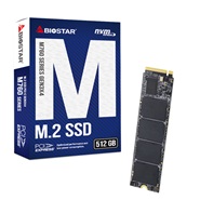 Biostar M760 512GB Internal SSD Drive