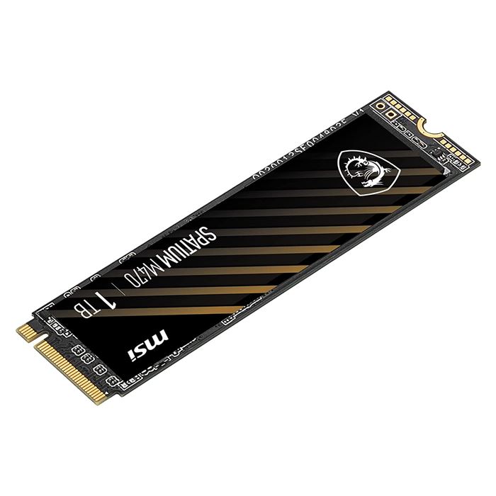 اس اس دی اینترنال ام اس آی مدل SPATIUM M470 M.2 ظرفیت 1TB - 3