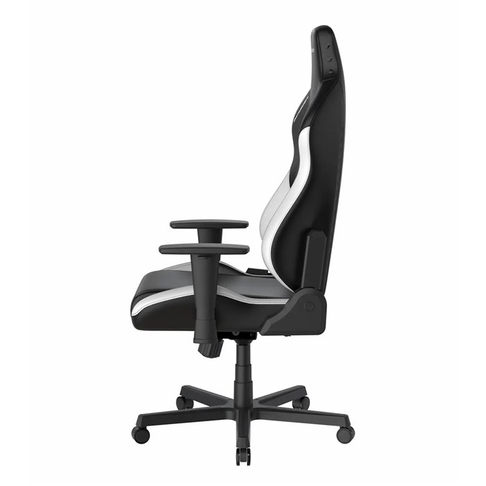 صندلی گیمینگ دی ایکس ریسر مدل Drifting Series 2025 L Black White - 6