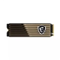 MSI SPATIUM M570 1TB PCIe 5.0 NVMe M.2 heatsink Internal SSD