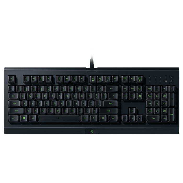 razer cynosa lite tastatur