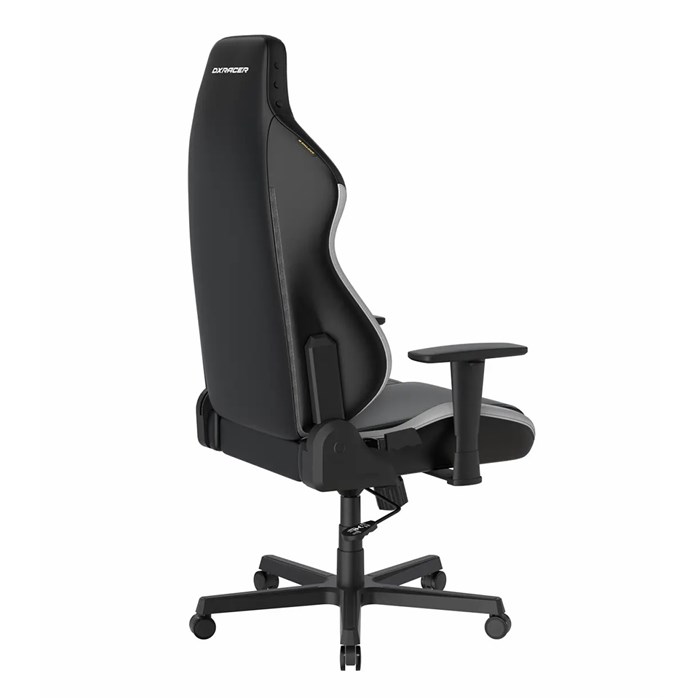 صندلی گیمینگ دی ایکس ریسر مدل Drifting Series 2025 L Black White - 5