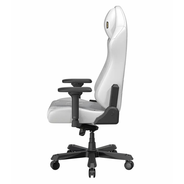 صندلی گیمینگ دی ایکس ریسر مدل Master Series 2025 XL White - 4