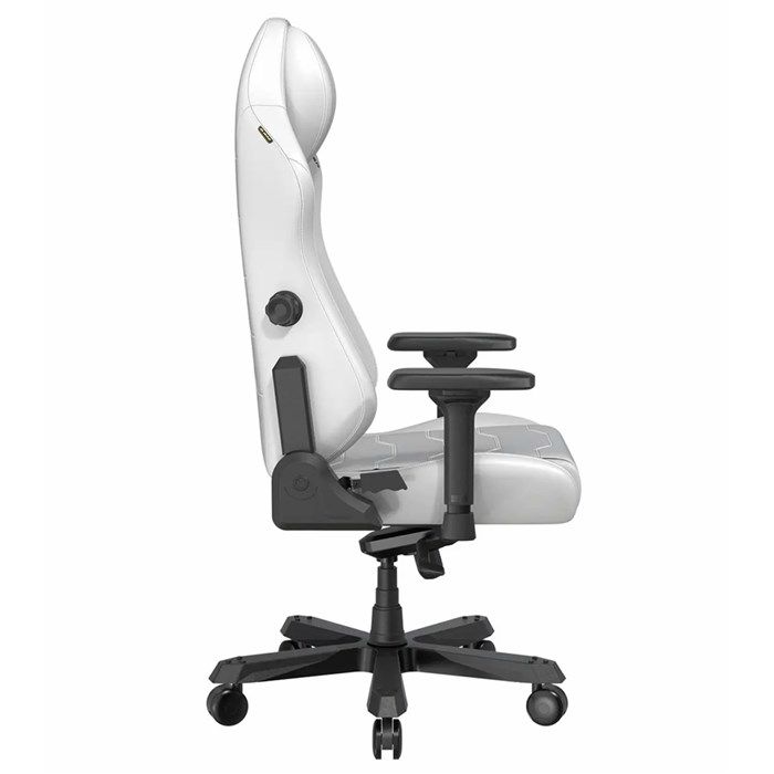 صندلی گیمینگ دی ایکس ریسر مدل Master Series 2025 XL White - 5