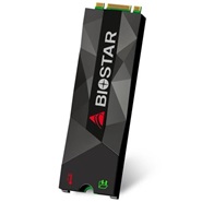 biostar M500 512GB PCIe Gen3x2 M.2 2280 Internal SSD Drive