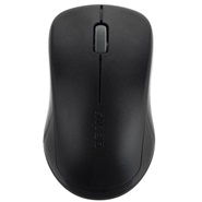 Rapoo 2650 Wireless Mouse