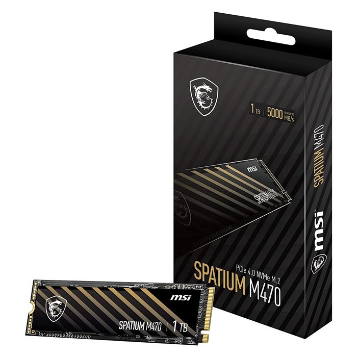 اس اس دی اینترنال ام اس آی مدل SPATIUM M470 M.2 ظرفیت 1TB - 6
