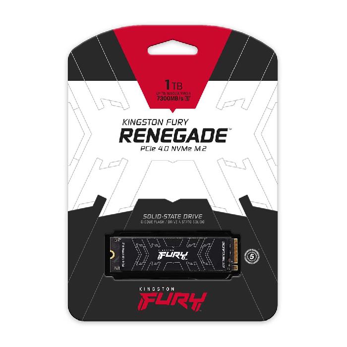 اس اس دی اینترنال کینگستون FURY Renegade ظرفیت 1 ترابایت - 3