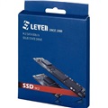 LEVEN JM600 M.2 SSD 256GB Internal SSD
